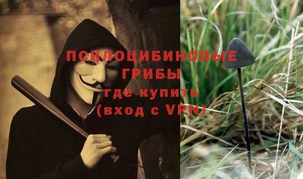 дмт Киреевск