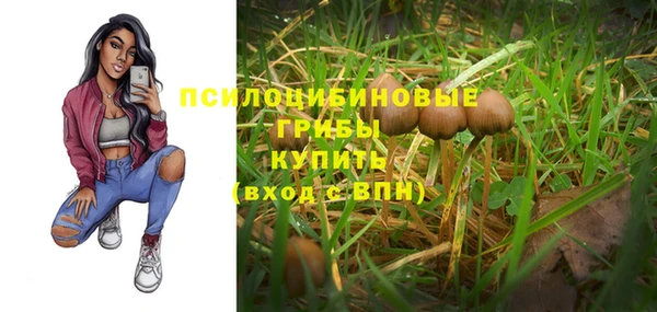 крисы Кодинск