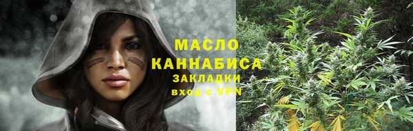 дмт Киреевск