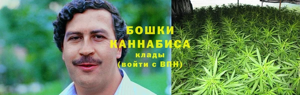 дмт Киреевск